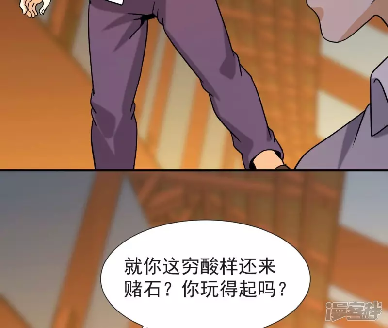 第66话 赌石场 第46页