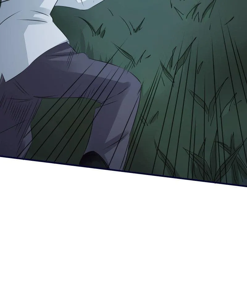 一样 第11页