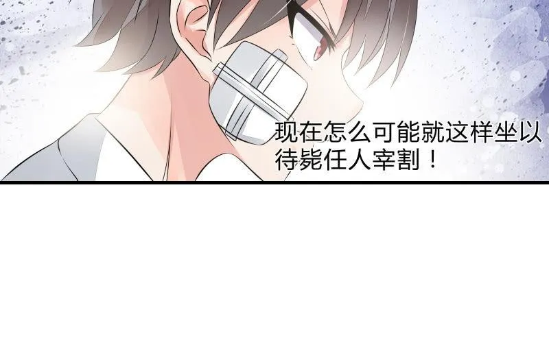决意 第40页