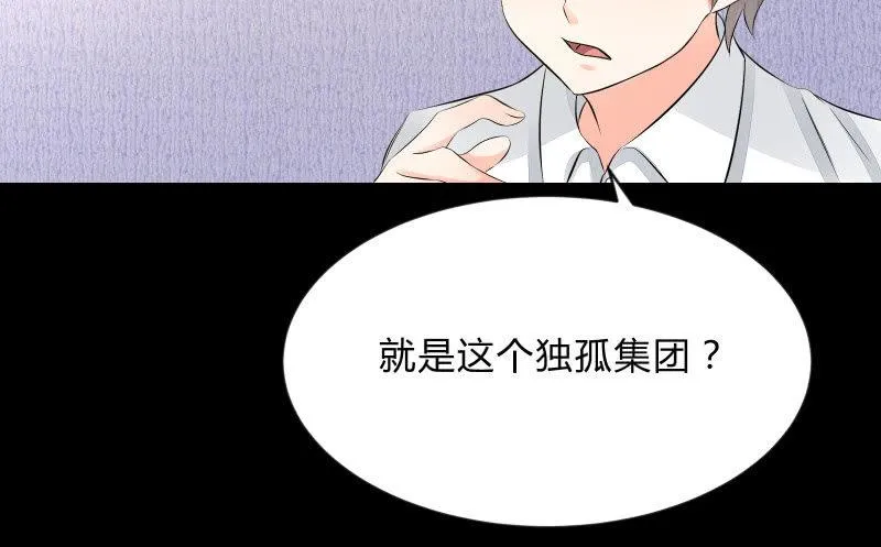 独孤集团 第22页