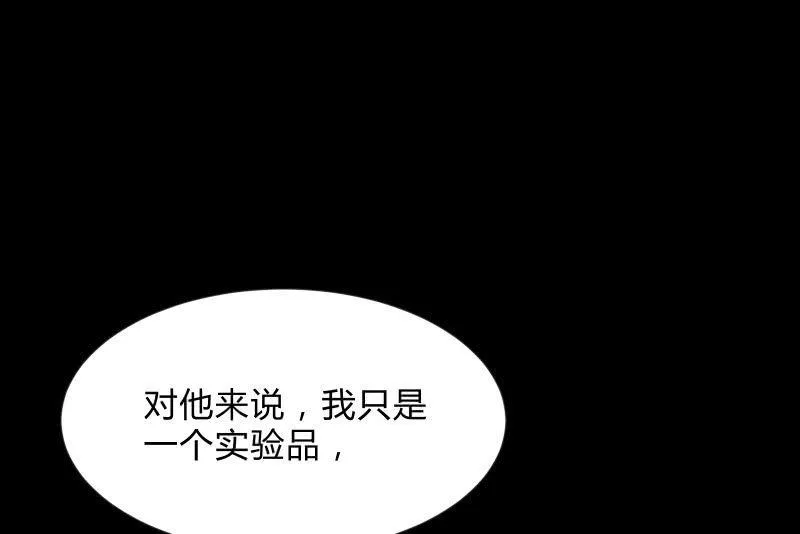 独孤集团 第86页