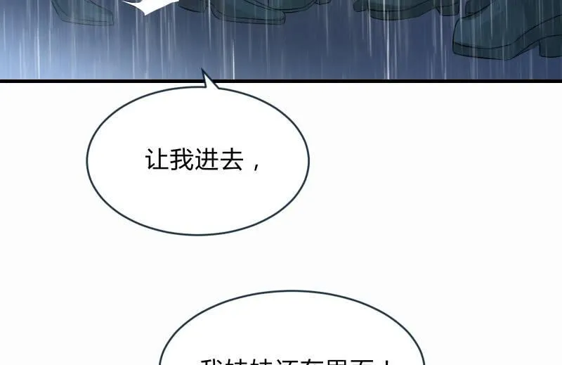 抵抗 第71页