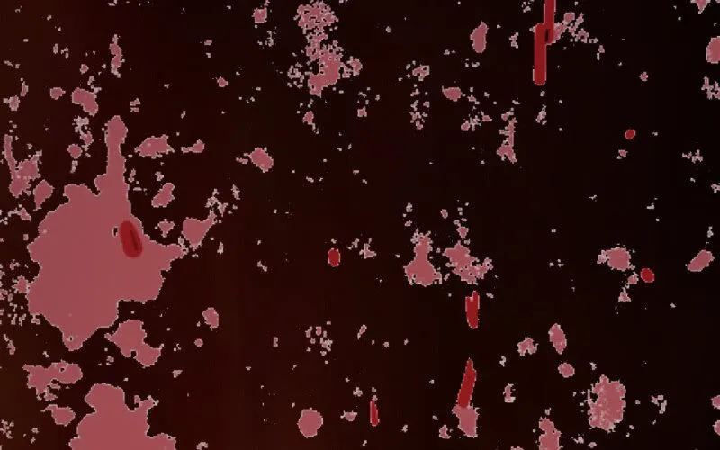 魔兽血核 第88页