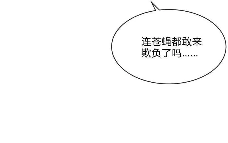 螳螂捕蝉，黄雀在后 第35页