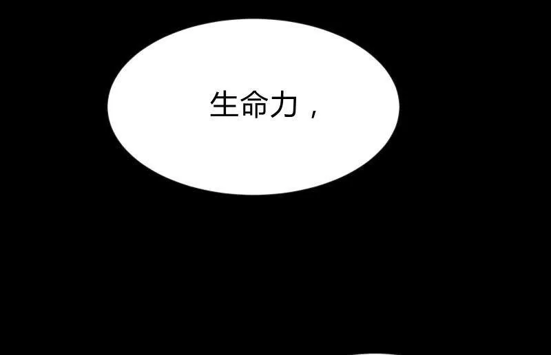 螳螂捕蝉，黄雀在后 第76页