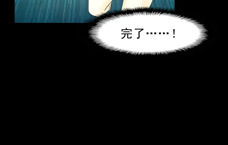 菜鸟 第31页