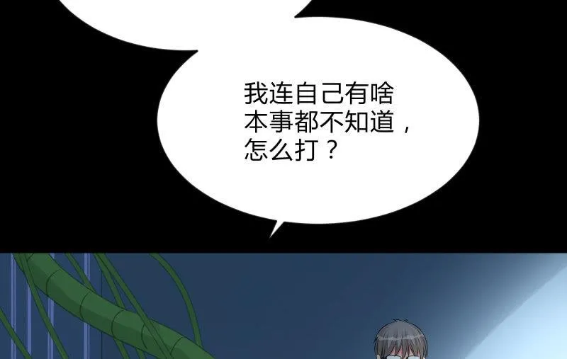 菜鸟 第71页