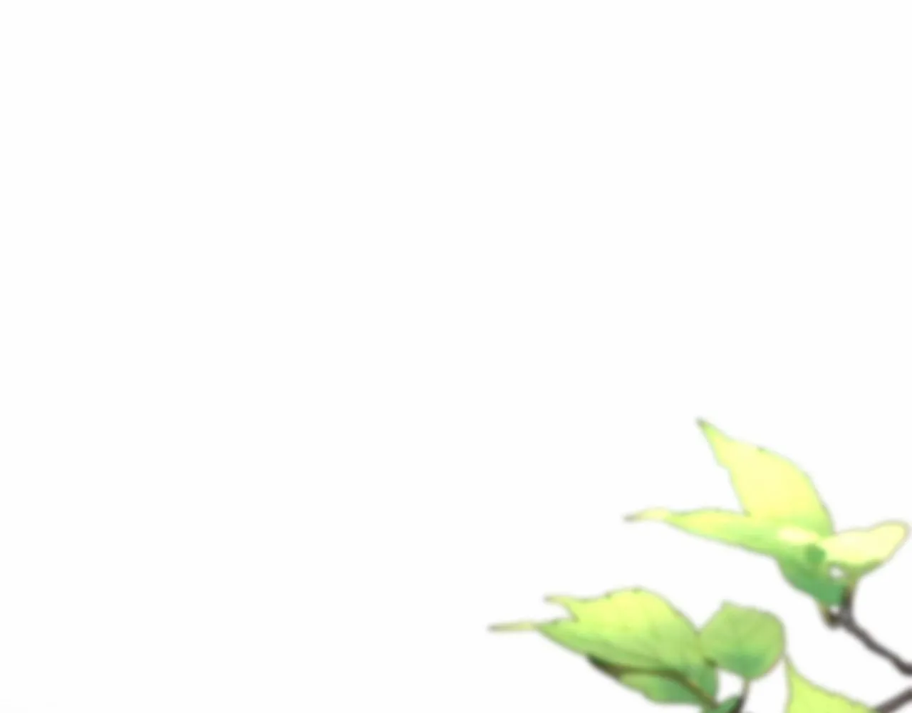 第11话 回家！ 第156页