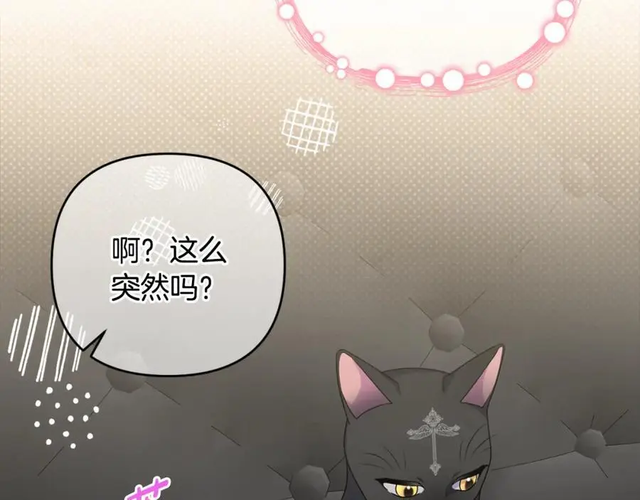 第61话 难道我听错了？ 第42页