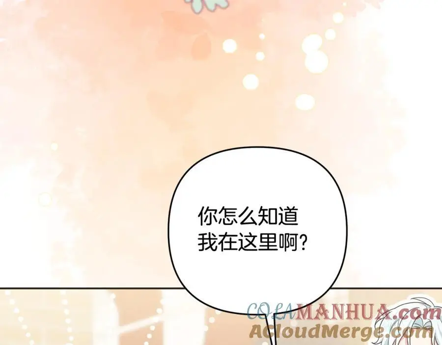 第63话 和弟弟单独约会 第185页