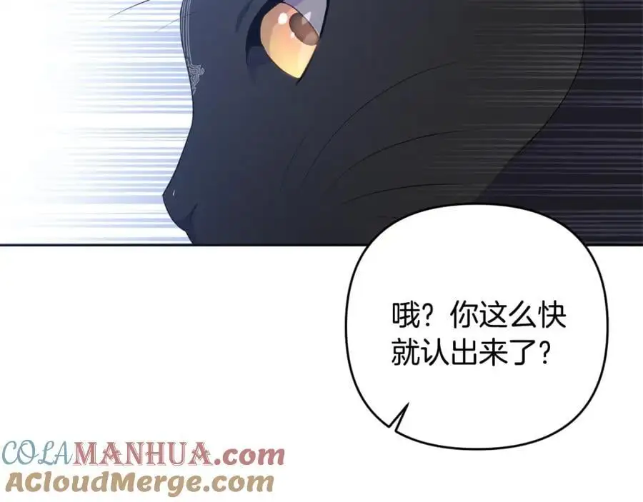 第67话 发现圣物 第85页