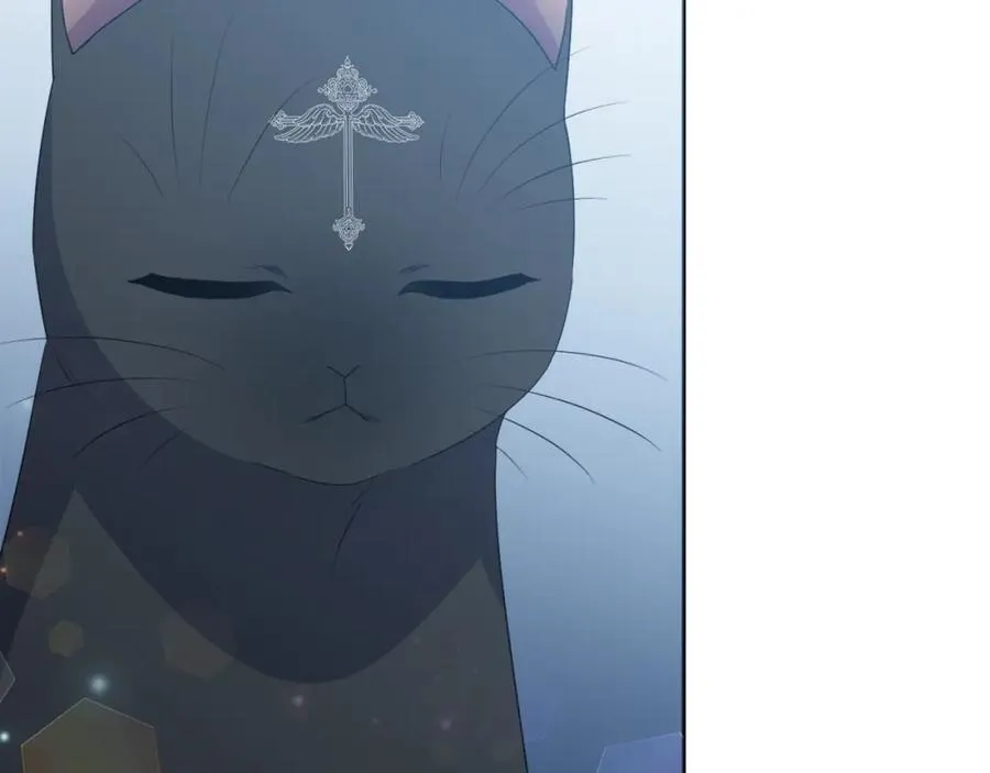 第74话 艰难的决定 第134页