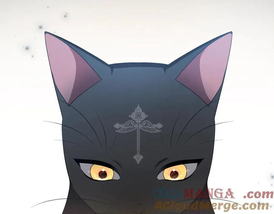 第74话 艰难的决定 第213页