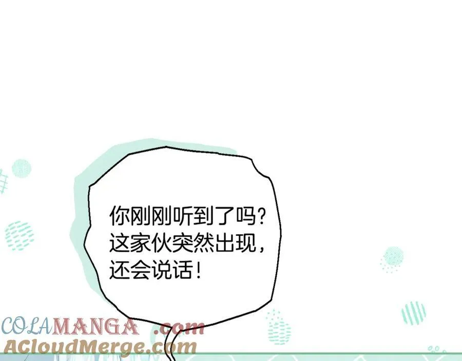 第76话 三人商议计划 第117页