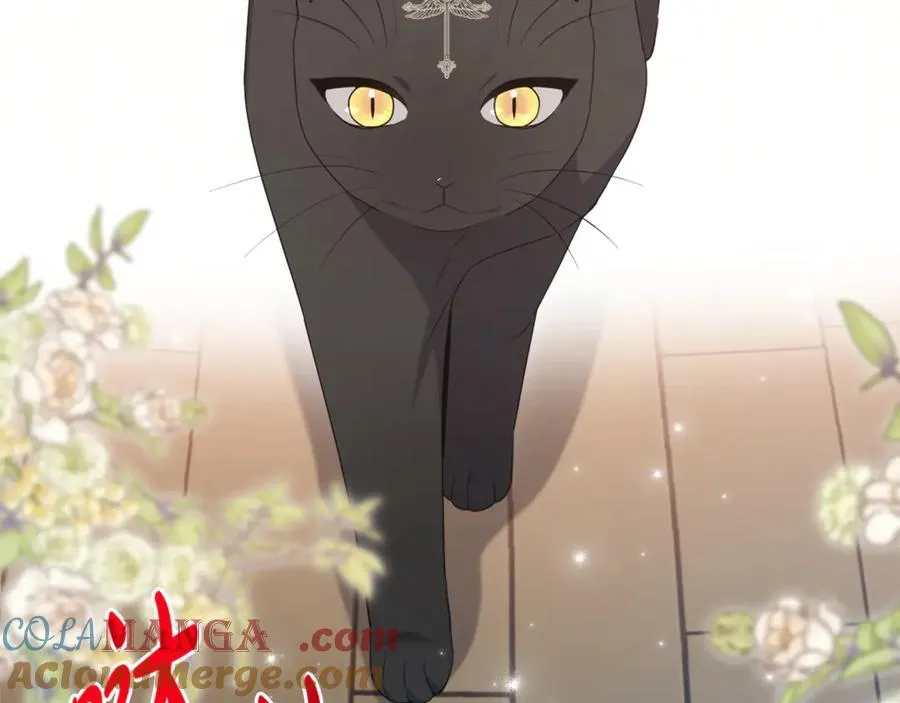 第78话 清除魔气 第125页