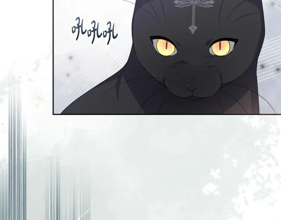 第84话 暗中互相较劲 第146页