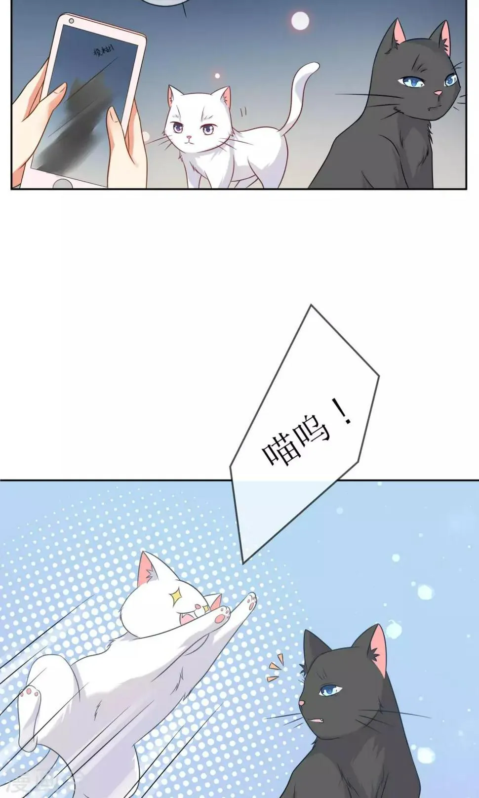第3话 人间极乐是喵咪 第11页