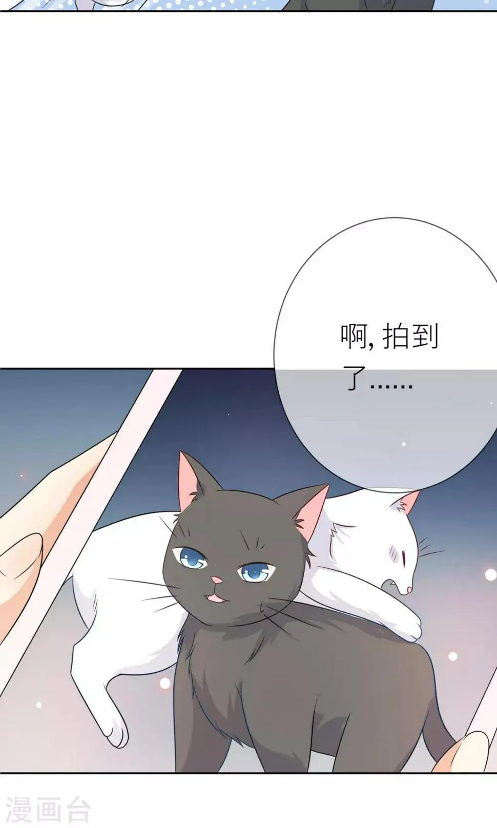 第3话 人间极乐是喵咪 第12页