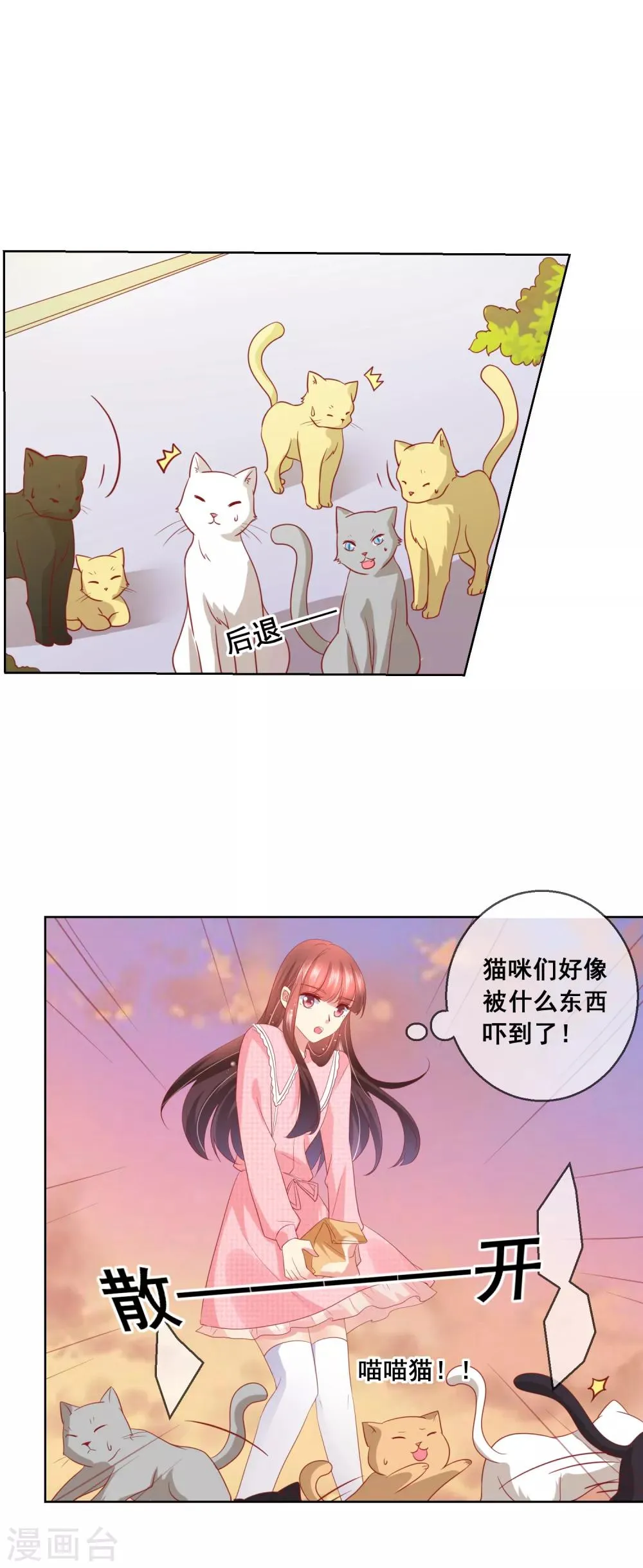 第46话 喵咪的身份暴露了！ 第10页