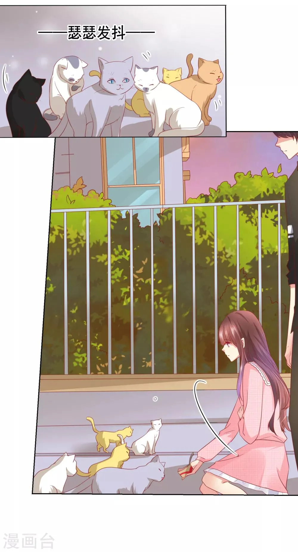 第46话 喵咪的身份暴露了！ 第12页
