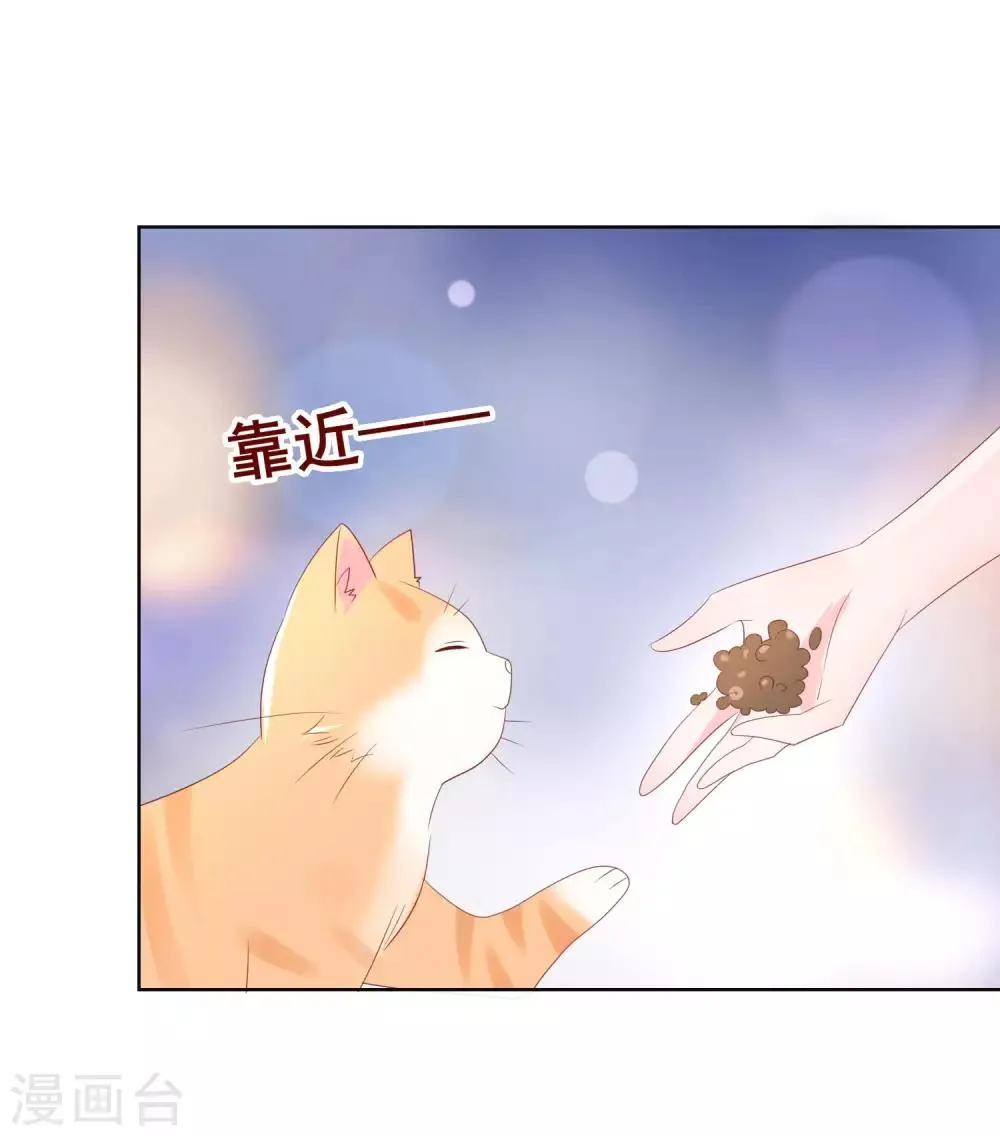 第125话 突如其来的约会 第47页