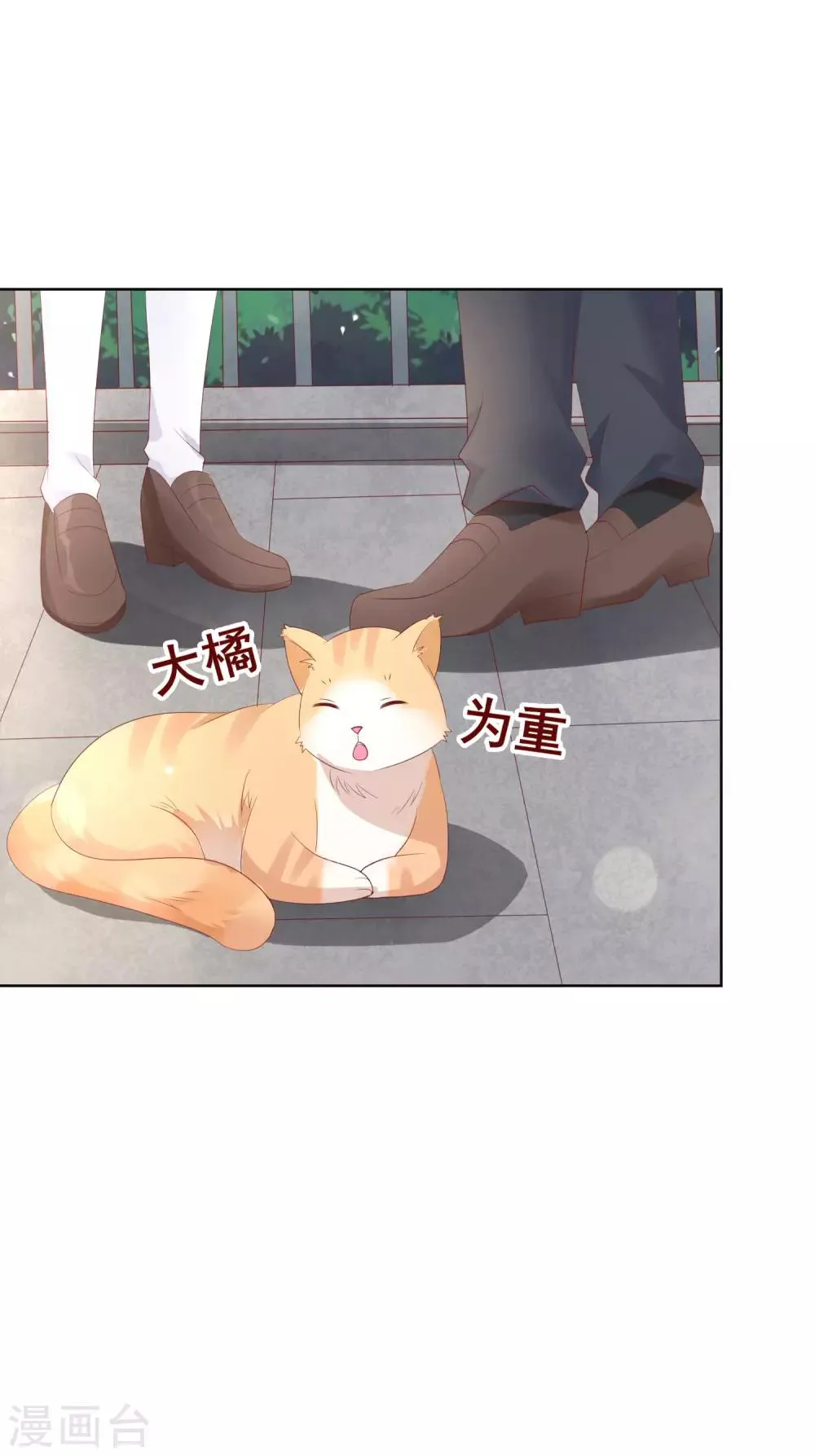 第133话 想要变成猫 第35页