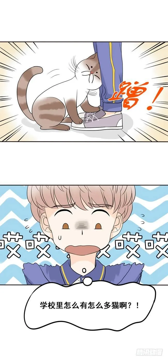 08 你也认识古古啊 第4页