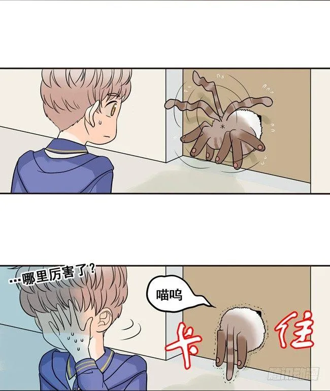 10 你还是以前的阿夹 第5页