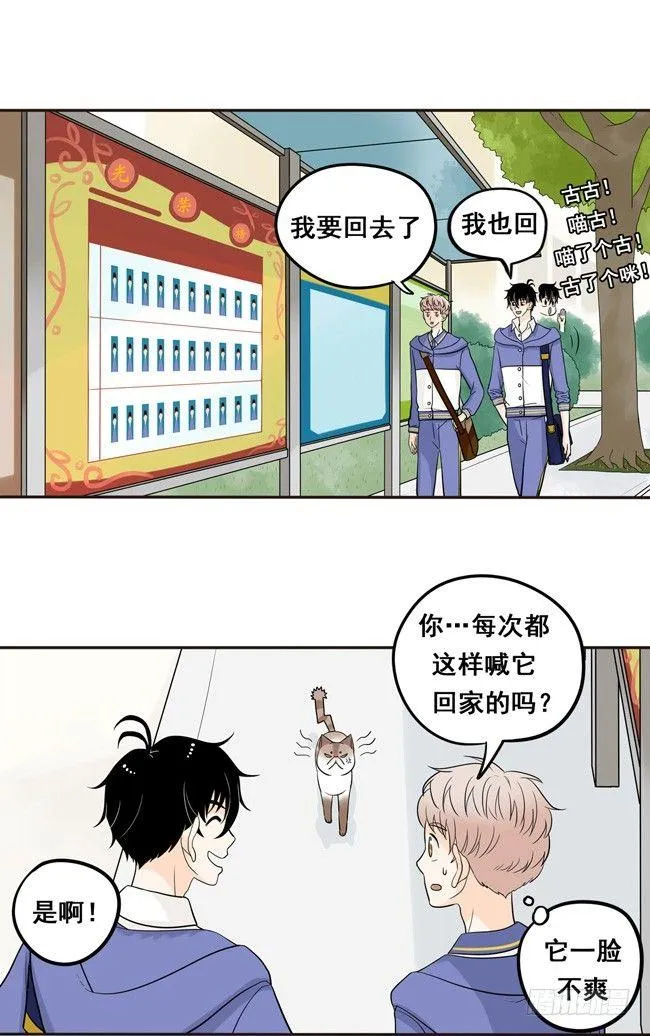 12 你也是猫吗！ 第7页