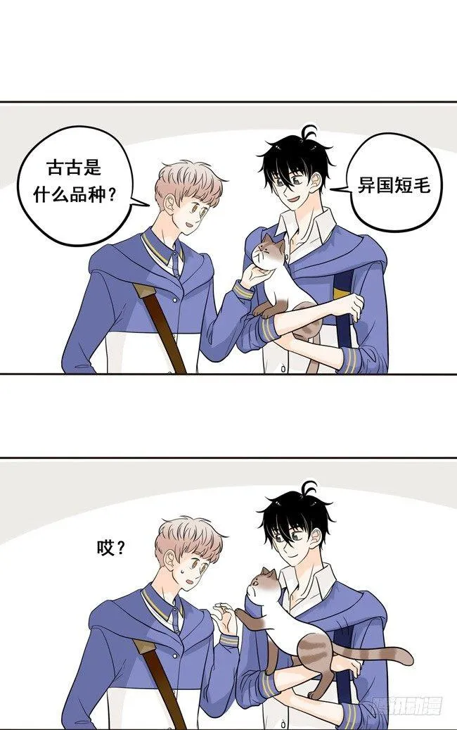 12 你也是猫吗！ 第8页