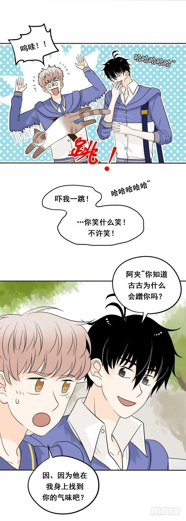 12 你也是猫吗！ 第9页