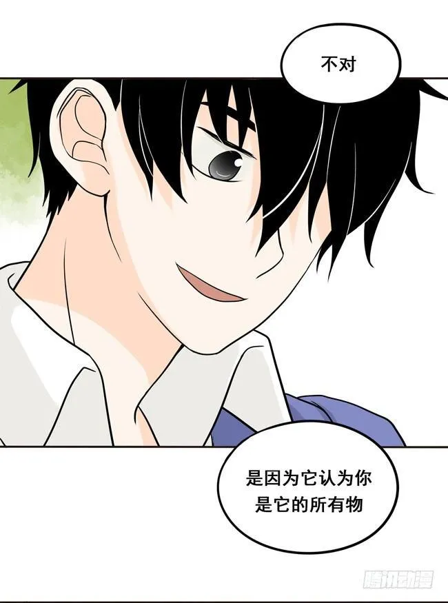 12 你也是猫吗！ 第10页
