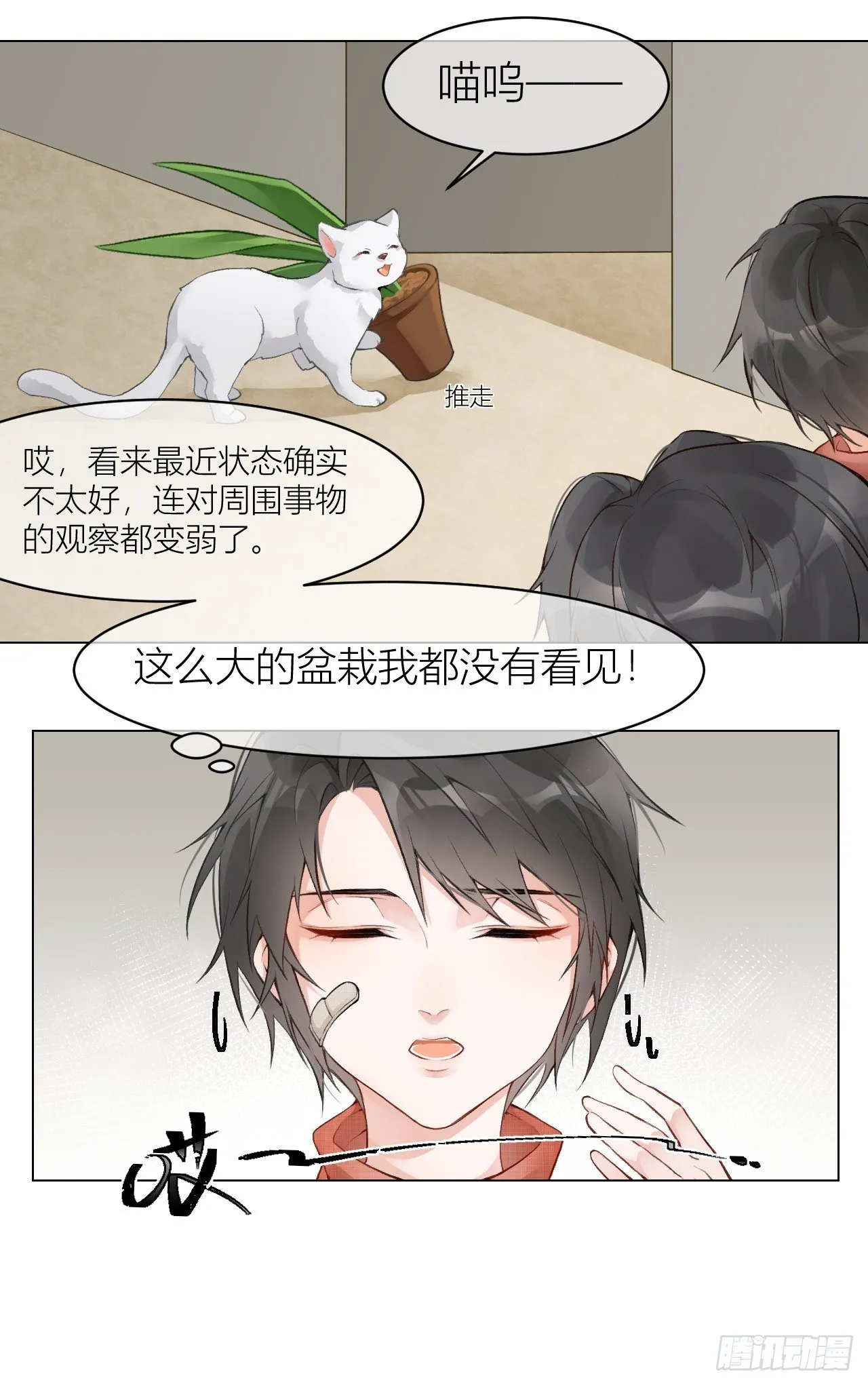 不要轻信人类啊，小猫咪 第3页