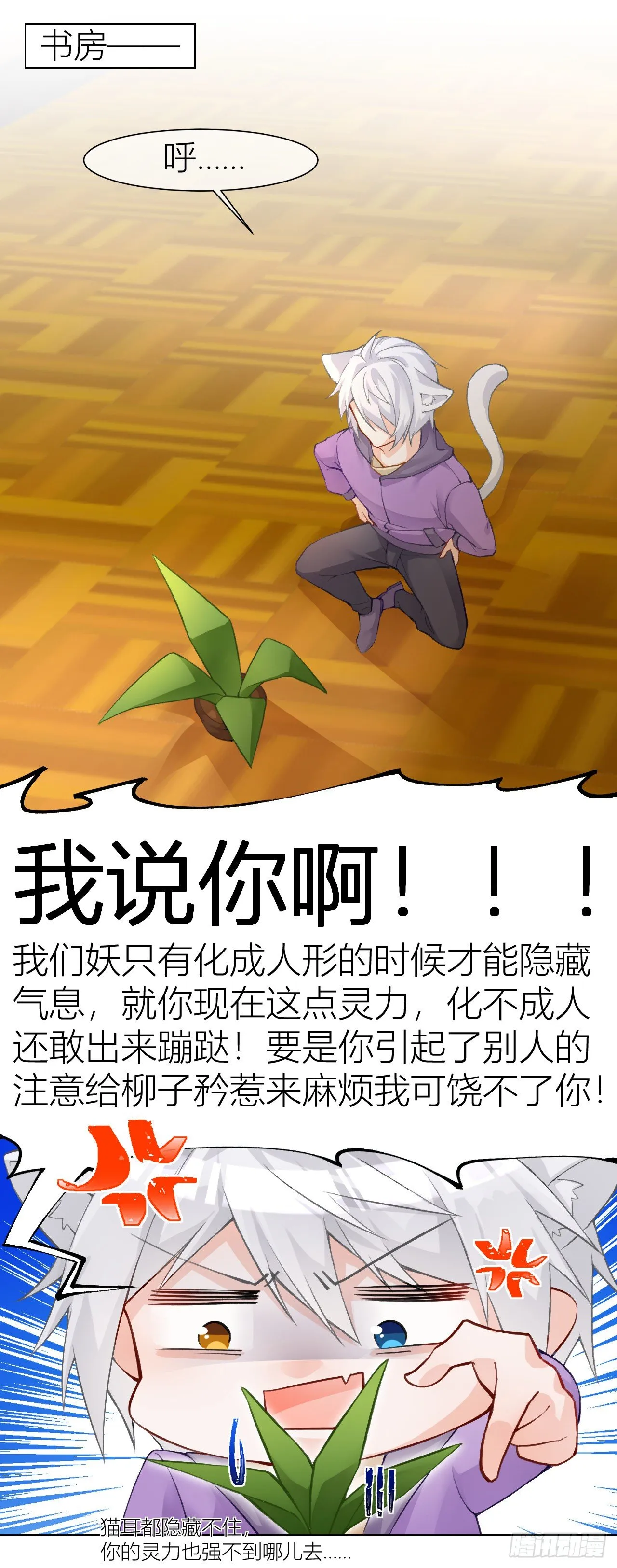不要轻信人类啊，小猫咪 第4页