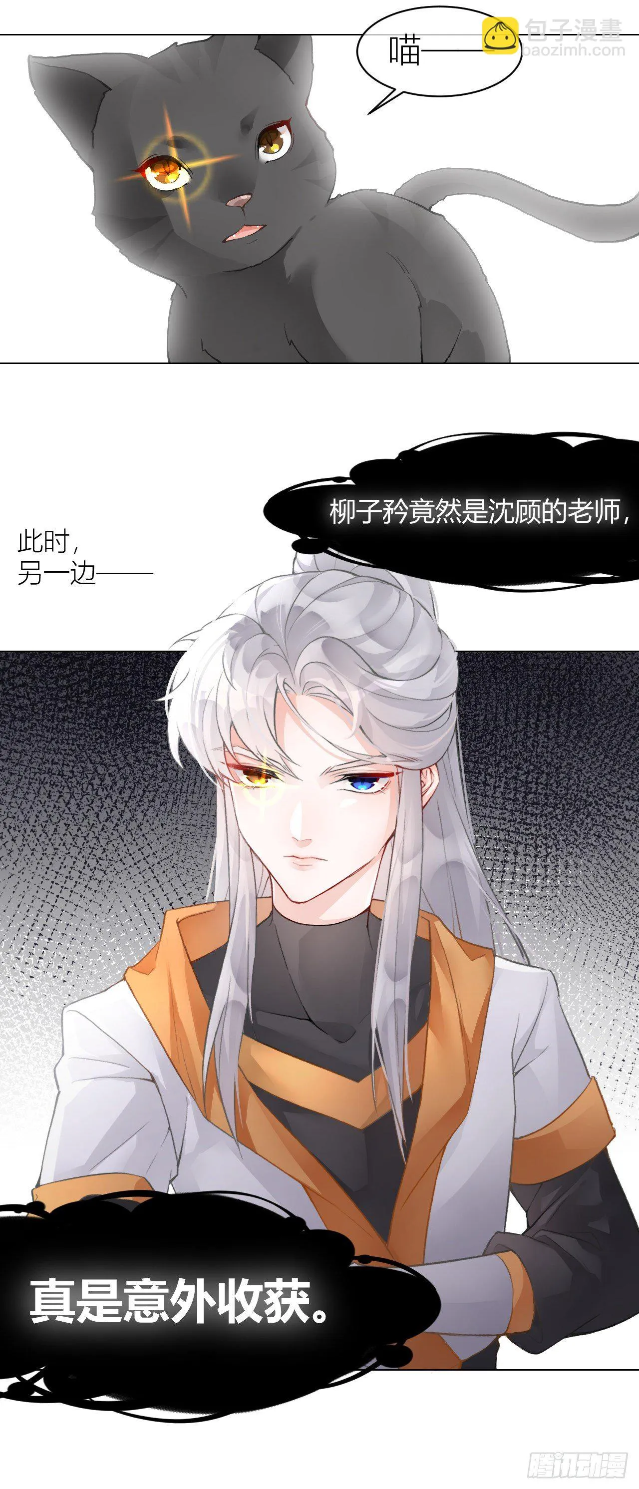 不要轻信人类啊，小猫咪 第9页
