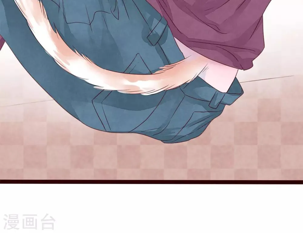 第5话 打扮我的喵 第48页