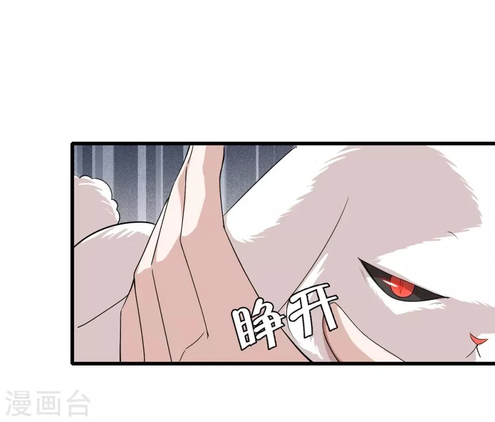 第19话 兔兔这么可爱，怎么可以这样对兔兔？！ 第35页