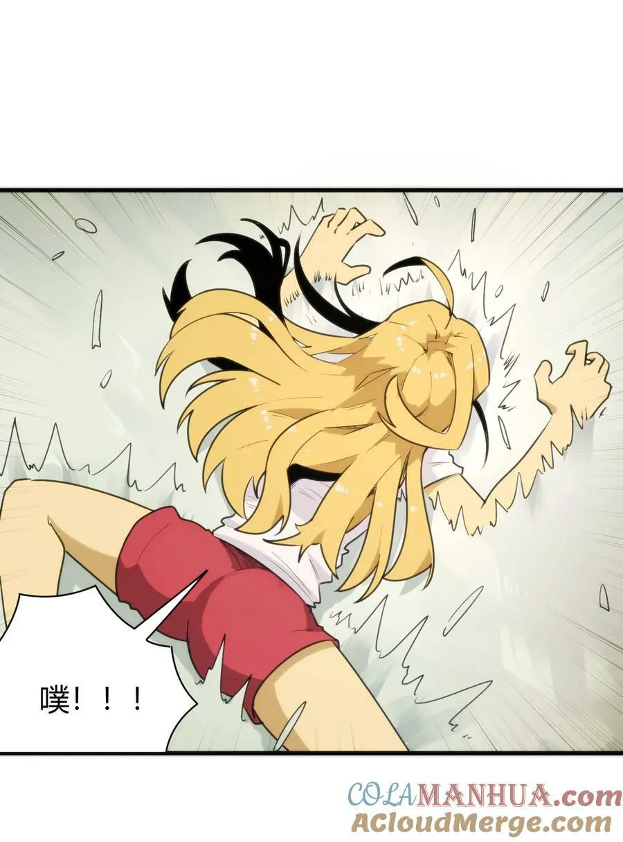 242 真正的武技 第13页