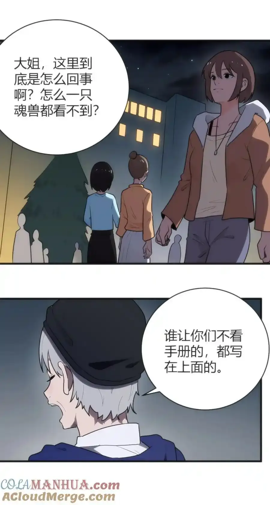 312 伪装 第43页