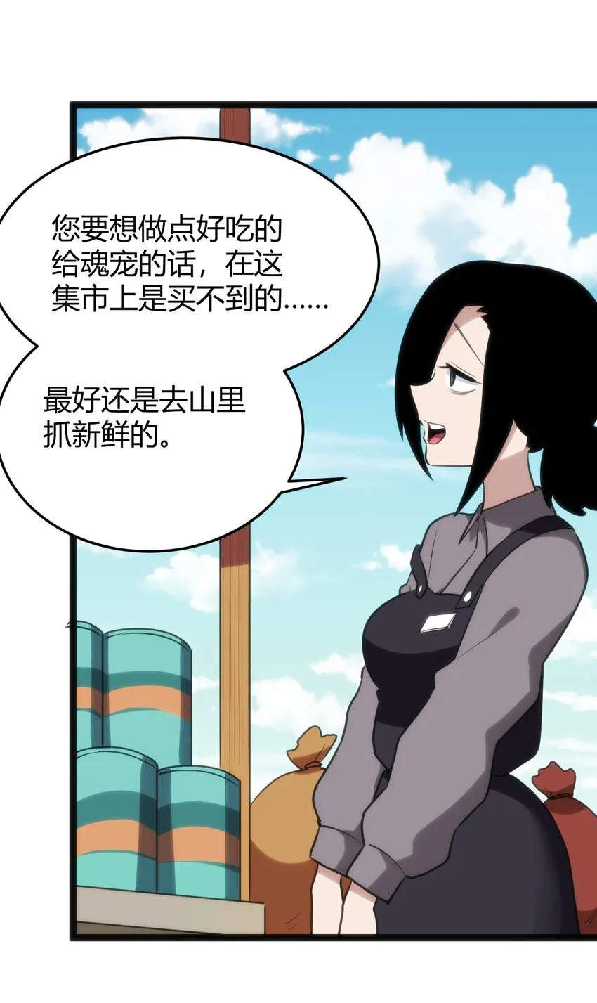 113 犒劳魂宠 第33页