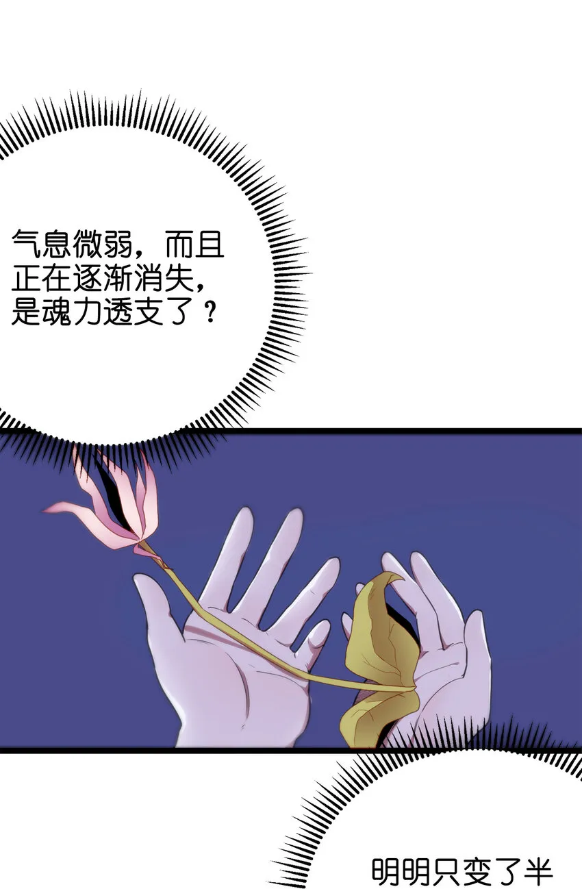 005 七星泰斗撼月狐 第61页
