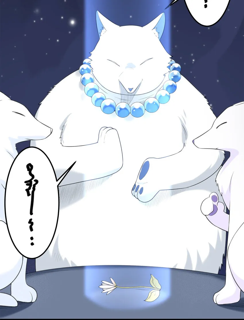 006 第二魂宠 第4页
