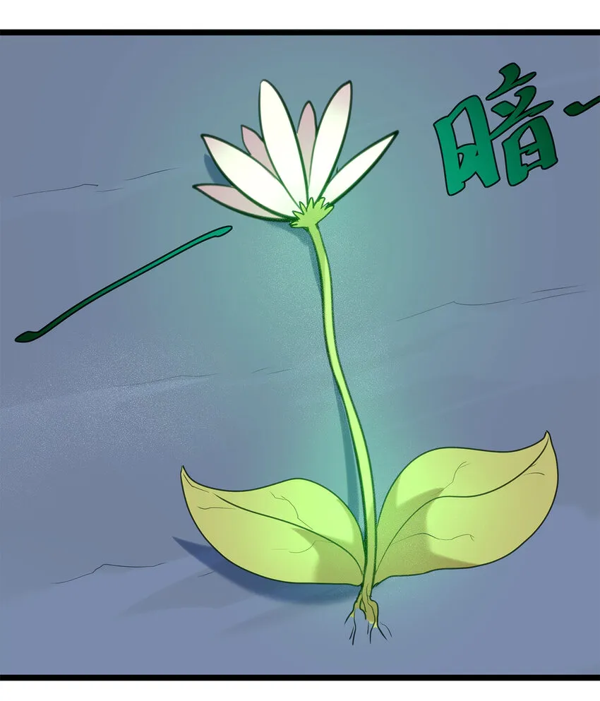 006 第二魂宠 第6页