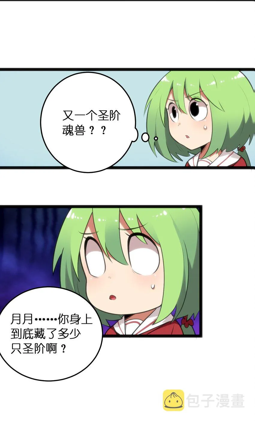 042 又一个圣阶魂兽 第13页
