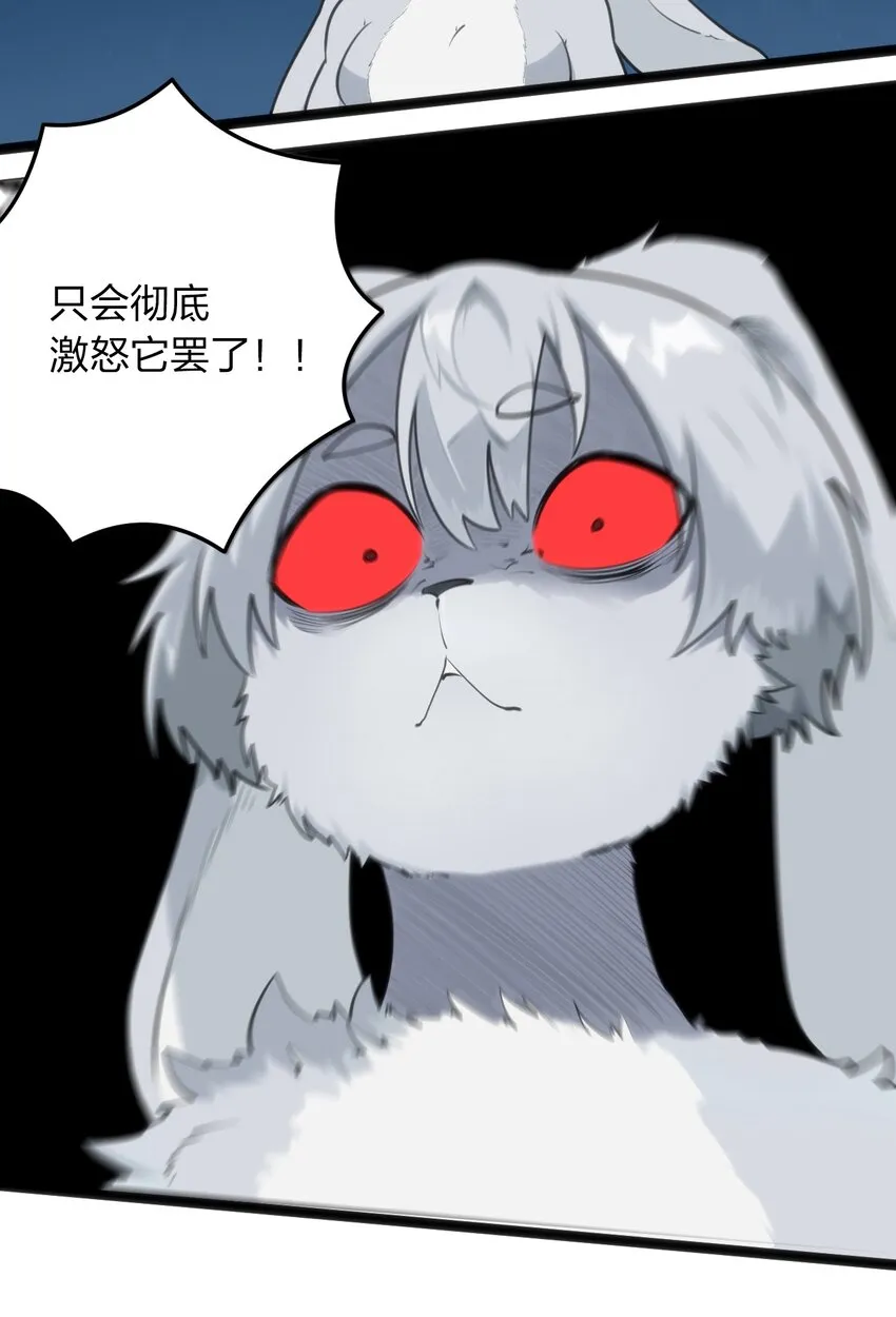 067 兔子，好壮一只大兔子 第4页