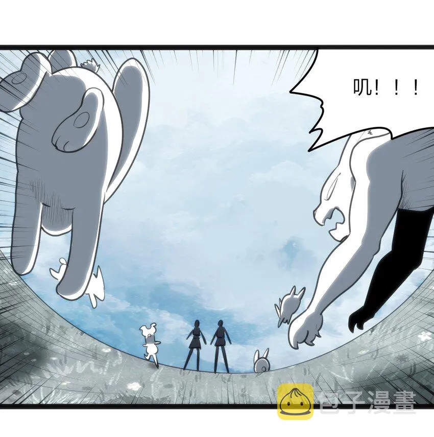 067 兔子，好壮一只大兔子 第27页