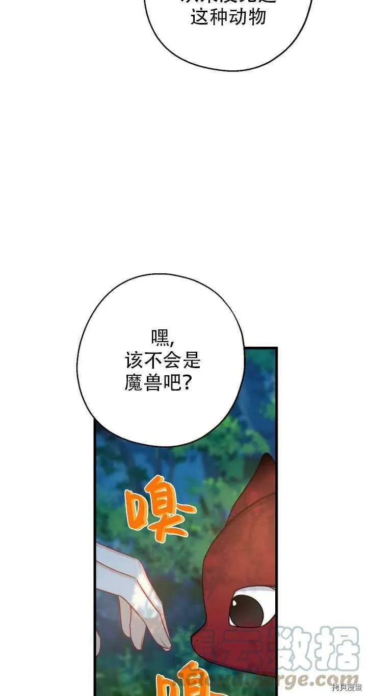 第33话 第19页