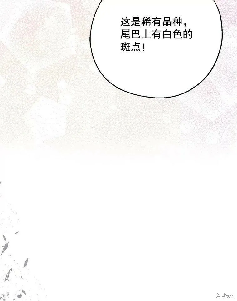 第50话 第80页
