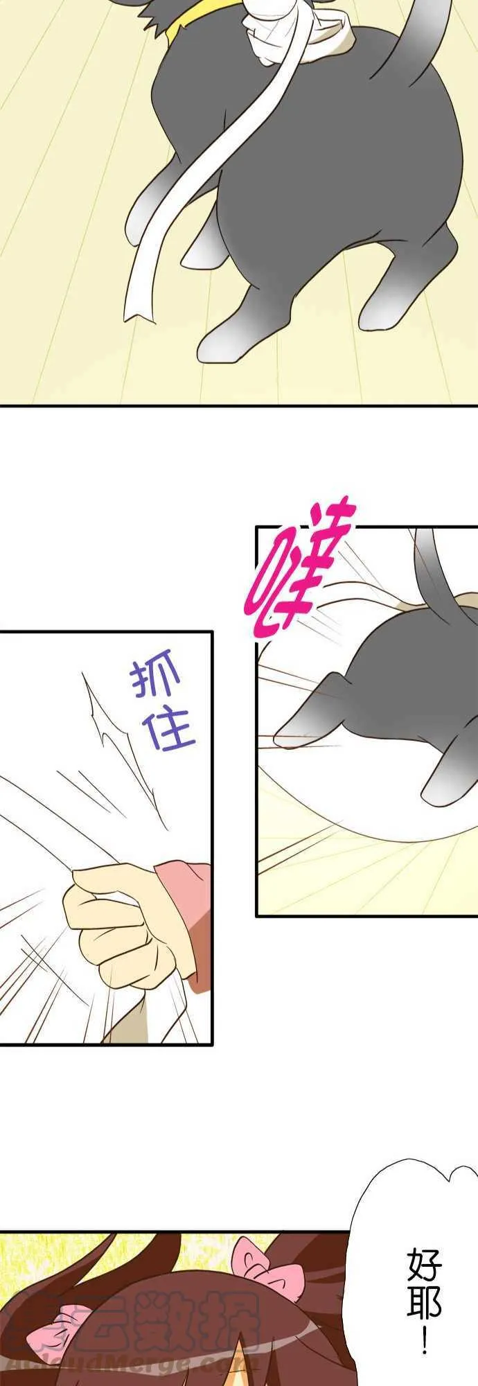 第38话 想要拆绷带 第25页