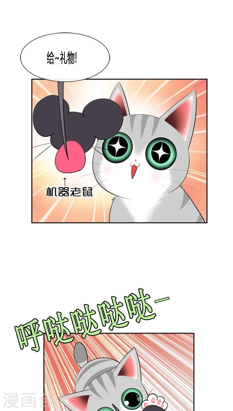 第79话 第13页